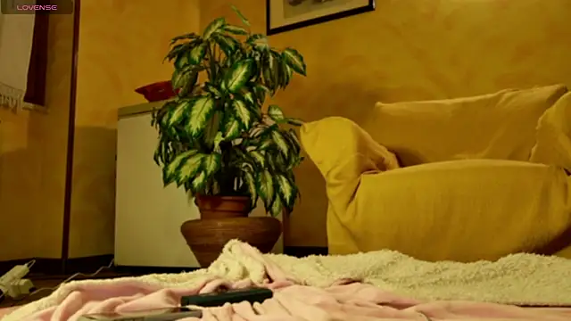 Snapshot of mark_ariete chatting on 24, 2, 2026 mark ariete online show from 24, 2, 2026