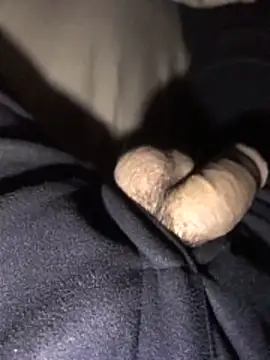 lion kun online show from 15, 12, 2025