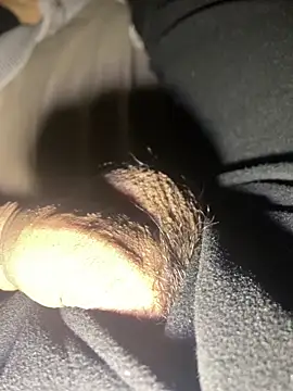 Snapshot of lion_kun chatting on 17, 12, 2025 lion kun online show from 17, 12, 2025