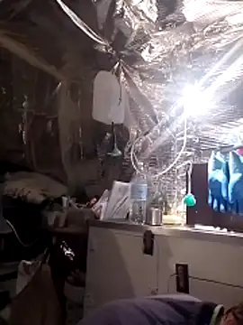 Snapshot of Quebec46 chatting on 14, 4, 2026 Quebec46 online show from 14, 4, 2026