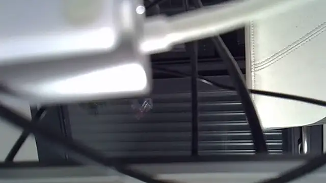 Snapshot of Zetros_15 chatting on 31, 3, 2026 Zetros 15 online show from 31, 3, 2026