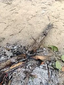 Snapshot of rahulsexybhabhi chatting on 18, 12, 2025 rahulsexybhabhi online show from 18, 12, 2025