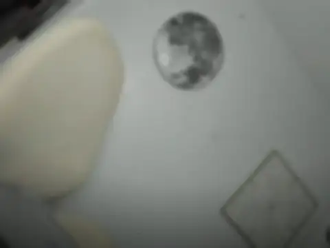 Snapshot of mxshemale_ladyboy chatting on 26, 3, 2026 mxshemale ladyboy online show from 26, 3, 2026