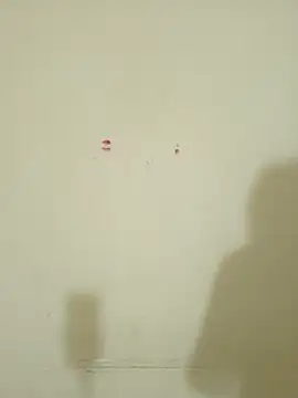 Snapshot of Geeta_rani79 chatting on 29, 4, 2026 Geeta rani79 online show from 29, 4, 2026