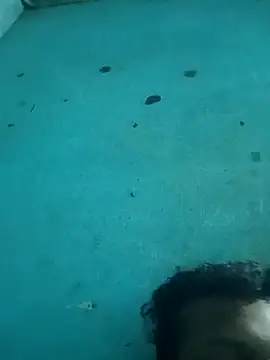 Snapshot of tamilansinsforu chatting on 30, 4, 2026 tamilansinsforu online show from 30, 4, 2026