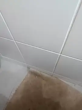 cdcdc21 online show from 24, 3, 2026