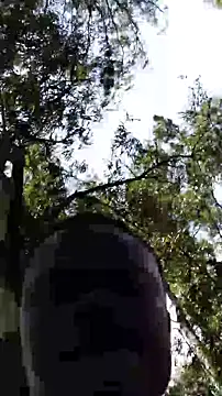 Snapshot of TheVersCouple chatting on 15, 1, 2026 TheVersCouple online show from 15, 1, 2026