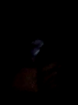 Snapshot of yourwellman chatting on 5, 3, 2026 yourwellman online show from 5, 3, 2026