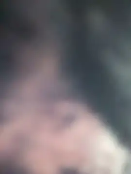 Eva 890 online show from 25, 2, 2026