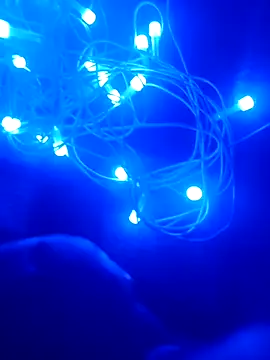 Snapshot of bongtools chatting on 20, 12, 2025 bongtools online show from 20, 12, 2025