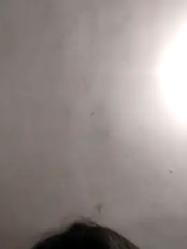 vanNe78 online show from 14, 1, 2026