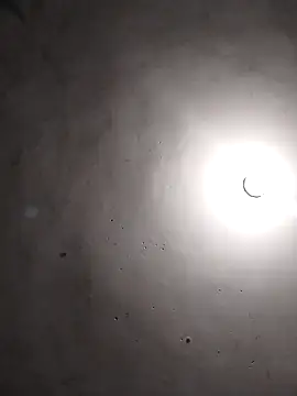 vanNe78 online show from 20, 2, 2026