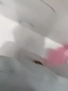 hydhunk26 online show from 17, 1, 2026