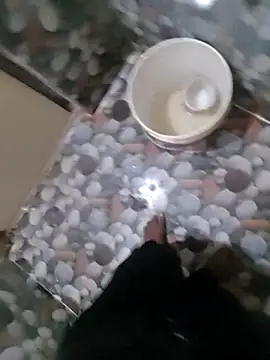 hydhunk26 online show from 28, 3, 2026