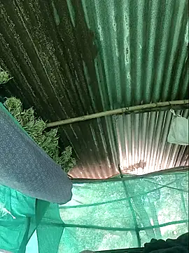 Hot2602 online show from 10, 4, 2026