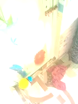 Hooghlypinkivabi online show from 10, 1, 2026