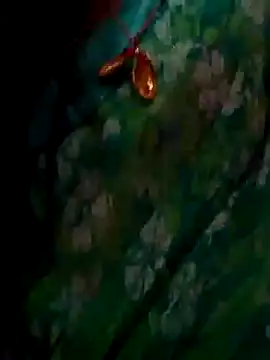 ramya sri online show from 2, 2, 2026