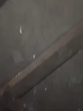 daksh  8 inche online show from 4, 2, 2026