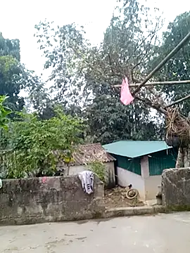 muamua99 online show from 17, 1, 2026