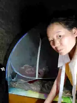 donaaa2 online show from 1, 3, 2026