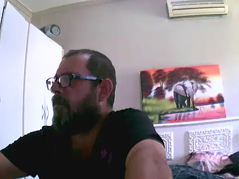 palmview2 online show from 6, 3, 2026