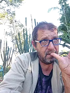 Snapshot of palmview2 chatting on 1, 6, 2026 palmview2 online show from 1, 6, 2026