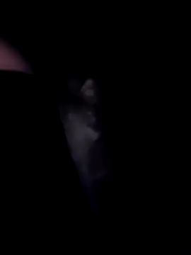 SweetTastes online show from 21, 2, 2026