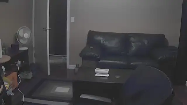 skateboardskate online show from 13, 1, 2026