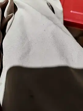 Snapshot of PRAPTITELUGU chatting on 1, 4, 2026 PRAPTITELUGU online show from 1, 4, 2026