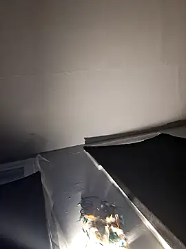 Snapshot of RealisedBooking chatting on 26, 2, 2026 RealisedBooking online show from 26, 2, 2026