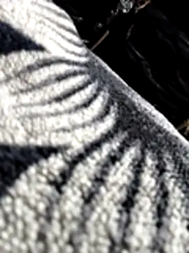 Snapshot of Bhavna8080 chatting on 20, 2, 2026 Bhavna8080 online show from 20, 2, 2026