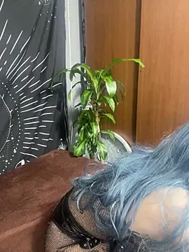 Snapshot of Smith_1s chatting on 26, 2, 2026 Smith 1s online show from 26, 2, 2026