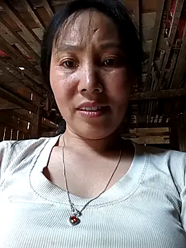 vesla-2k online show from 8, 4, 2026