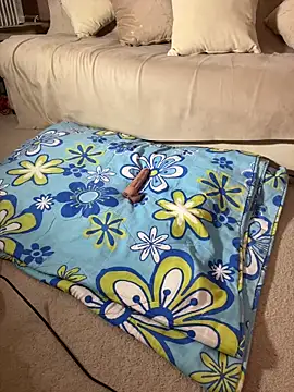 Snapshot of Elkinga_nana chatting on 2, 4, 2026 Elkinga nana online show from 2, 4, 2026