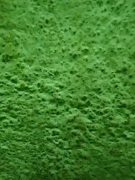 Snapshot of Pagelboy_089 chatting on 8, 4, 2026 Pagelboy 089 online show from 8, 4, 2026