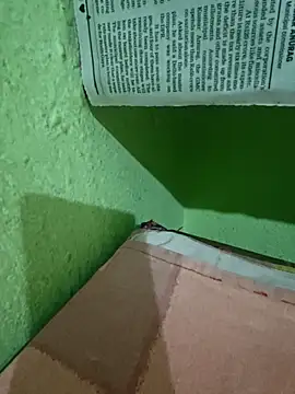 Snapshot of Pagelboy_089 chatting on 9, 4, 2026 Pagelboy 089 online show from 9, 4, 2026