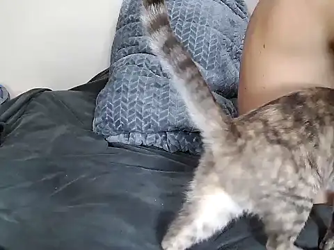 chris aitrix online show from 8, 1, 2026