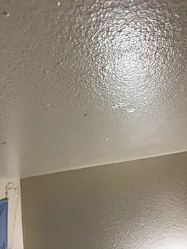 Egyptian reign online show from 16, 1, 2026