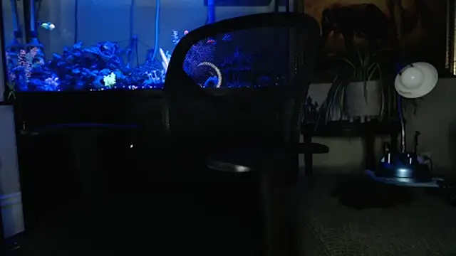 EspanolVato online show from 18, 3, 2026