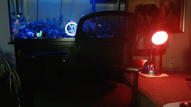 EspanolVato online show from 16, 4, 2026