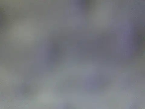 Snapshot of Minico25 chatting on 29, 3, 2026 Minico25 online show from 29, 3, 2026