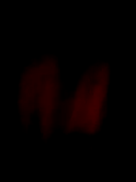 him220 online show from 3, 4, 2026