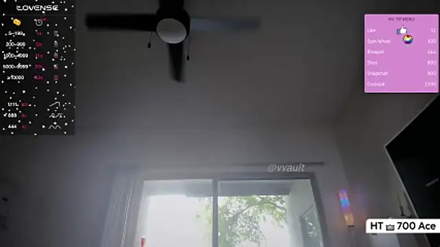 Snapshot of Vesagal chatting on 16, 4, 2026 Vesagal online show from 16, 4, 2026