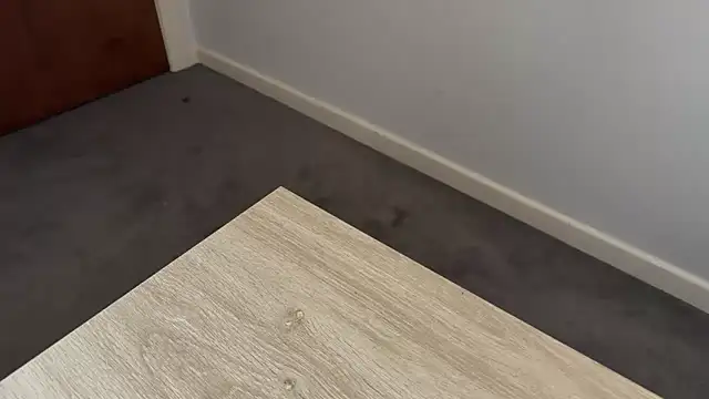 Snapshot of adelaide2026 chatting on 2, 4, 2026 adelaide2026 online show from 2, 4, 2026