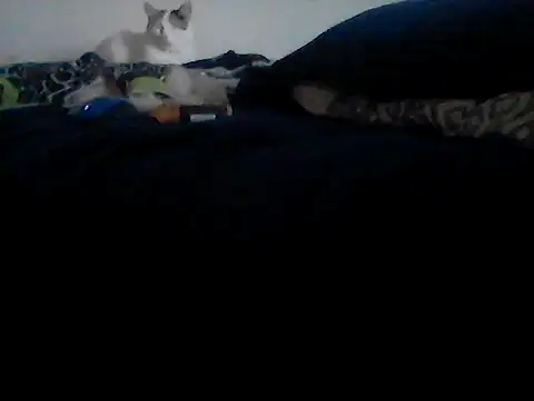 Snapshot of Silencio26 chatting on 24, 2, 2026 Silencio26 online show from 24, 2, 2026