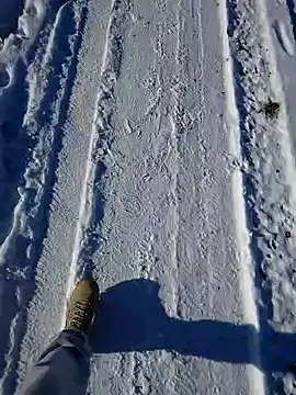 Snapshot of Erz84 chatting on 19, 2, 2025 Erz84 online show from 19, 2, 2025