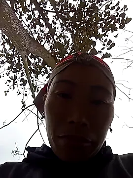 Nllpvp online show from 8, 2, 2026