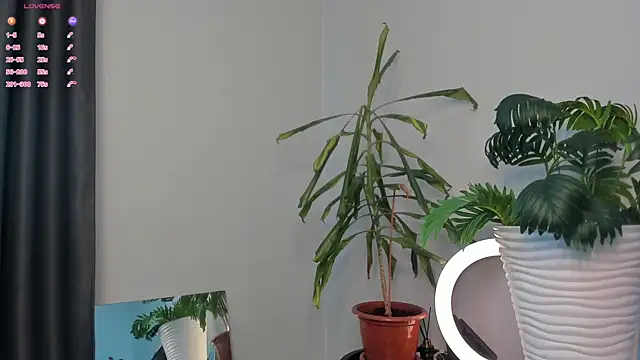 Snapshot of ManiJuanaa chatting on 5, 5, 2026 ManiJuanaa online show from 5, 5, 2026