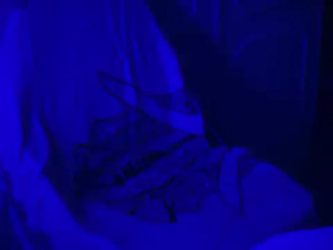 WarmSound online show from 17, 1, 2026