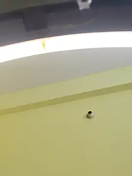 Snapshot of trinasa chatting on 9, 1, 2026 trinasa online show from 9, 1, 2026